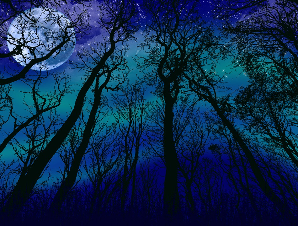 Pink Moon: Part&nbsp;Three