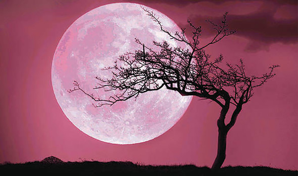 Pink Moon: Part&nbsp;Two